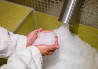 Pullman Munich Garden Spa Eis