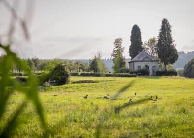 Die idyllische Umgebung des Bilderberg Kasteel Vaalsbroek Hotels in Süd-Limburg, mit grünen Wiesen und ruhigen Landschaften.
