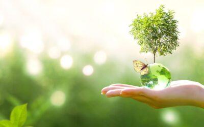 Über 25 Hotels mit Green Key Zertifizierung