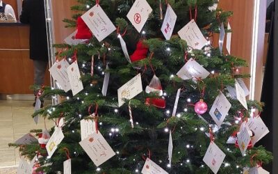 Der Kinderwunschbaum 2024: Freude schenken leicht gemacht