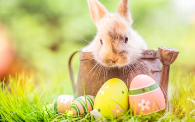 Osterrezept: Kadaifi-Nest mit Ei